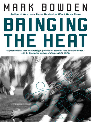 cover image of Bringing the Heat